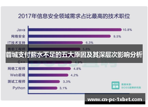 蓉城支付薪水不足的五大原因及其深层次影响分析