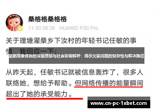 赵鹏现象背后的深层原因与社会影响解析：揭示欠薪问题的复杂性与解决路径