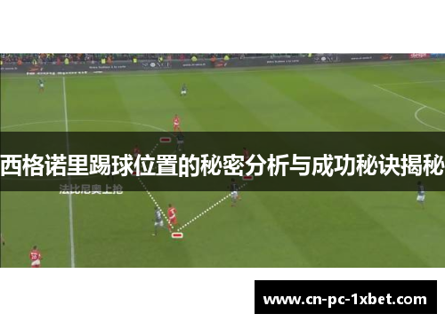 西格诺里踢球位置的秘密分析与成功秘诀揭秘
