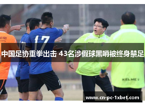 中国足协重拳出击 43名涉假球黑哨被终身禁足