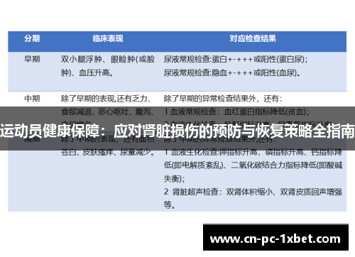 运动员健康保障:应对肾脏损伤的预防与恢复策略全指南 运动员健康保障:应对肾脏损伤的预防与恢复策略全指南