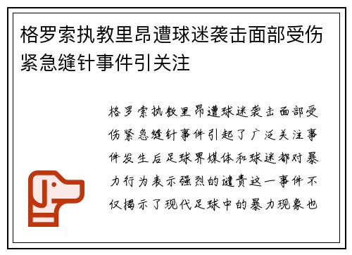 格罗索执教里昂遭球迷袭击面部受伤紧急缝针事件引关注 格罗索执教里昂遭球迷袭击面部受伤紧急缝针事件引关注